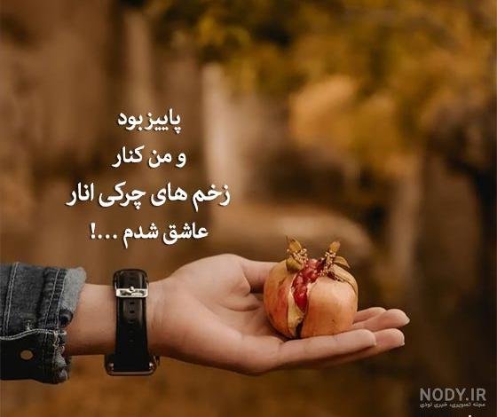  عکس انار پاییزی