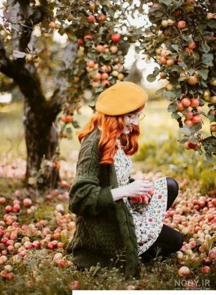  عکس انار پاییزی