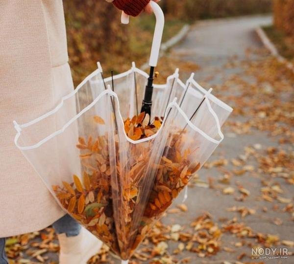  عکس انار پاییزی