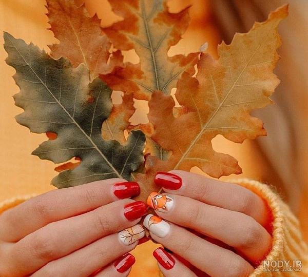  عکس انار پاییزی