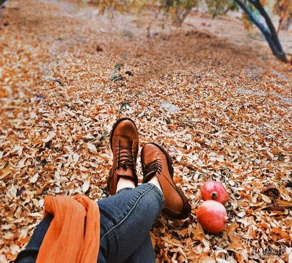  عکس انار پاییزی