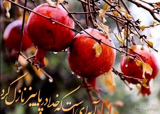  عکس انار پاییزی