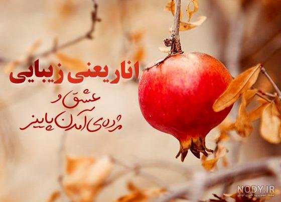  عکس انار پاییزی