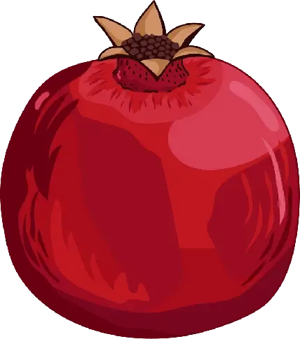  عکس انار نقاشی