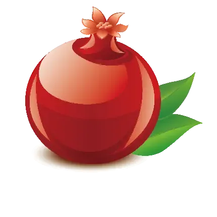  عکس انار نقاشی