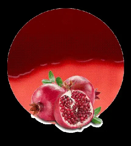  عکس انار نقاشی