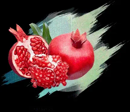  عکس انار نقاشی