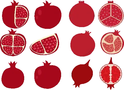  عکس انار نقاشی