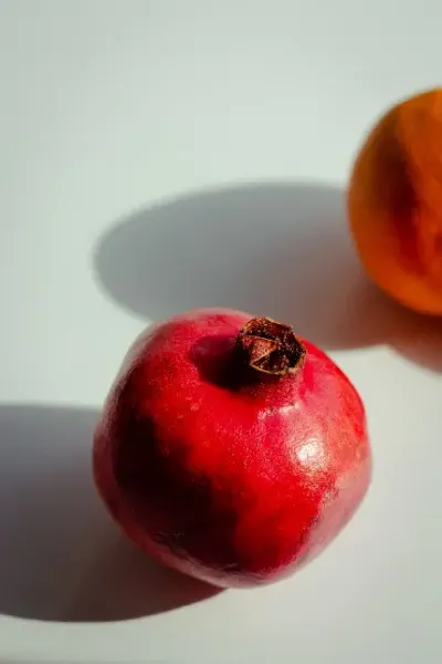  عکس انار روی درخت