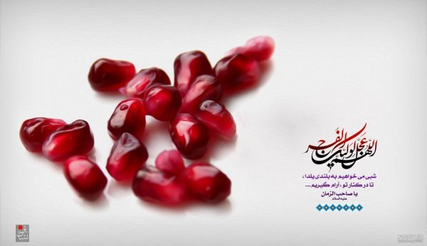  پروفایل یلدا امام زمانی