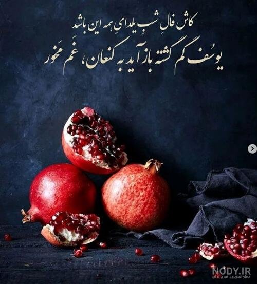  پروفایل یلدا امام زمانی