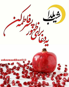  پروفایل یلدا امام زمانی