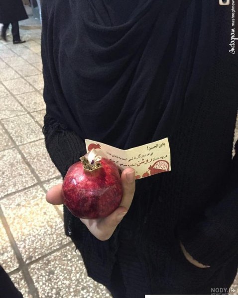  پروفایل یلدا امام زمانی