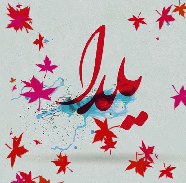  180 عکس زیبا برای شب یلدا