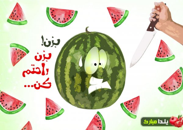  180 عکس زیبا برای شب یلدا