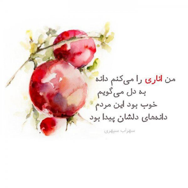 180 عکس زیبا برای شب یلدا