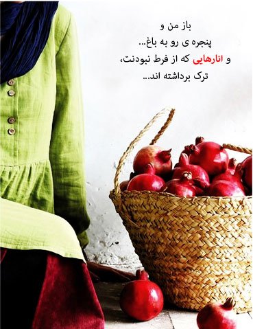  عکس در مورد شب یلدا