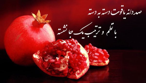  عکس در مورد شب یلدا