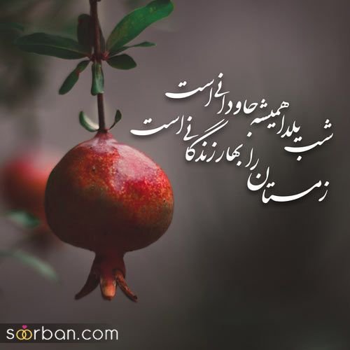  عکس شب یلدا برای استوری