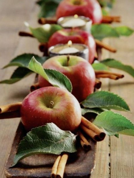  عکس تزیین میوه