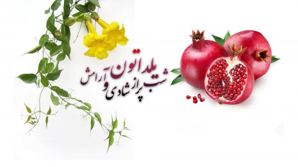  عکسهای شب یلدا