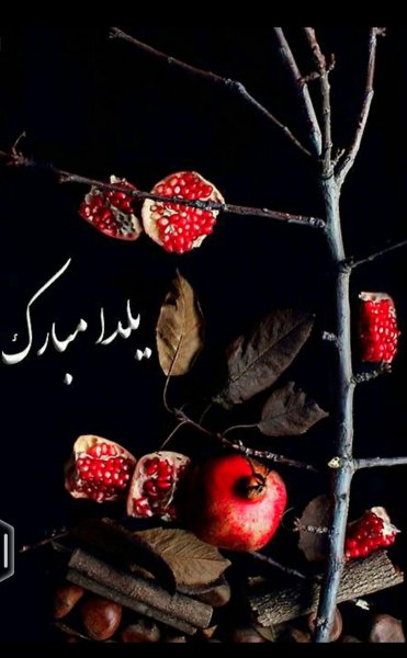  عکسهای شب یلدا