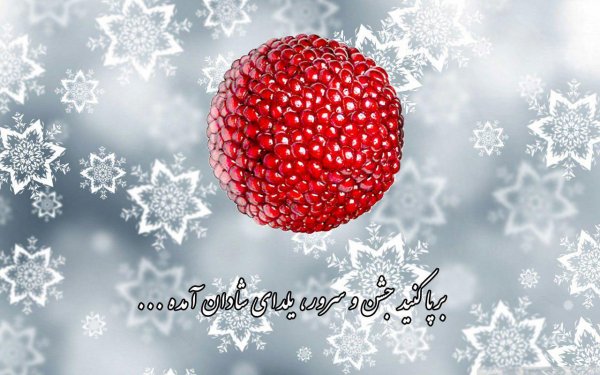  عکسهای شب یلدا