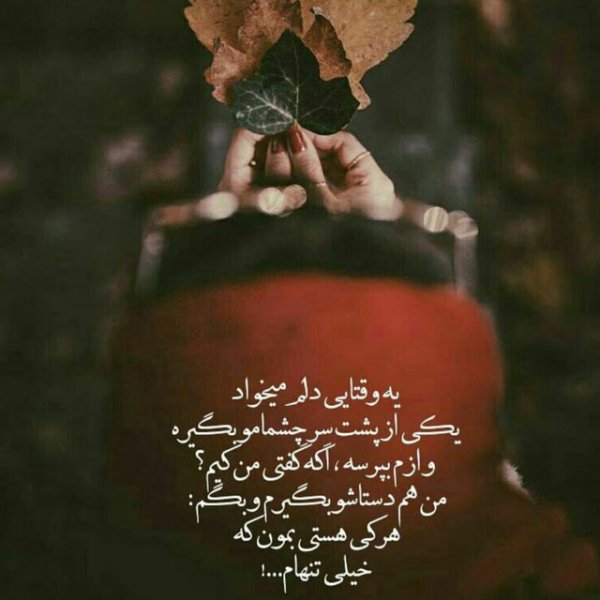  عکسهای شب یلدا