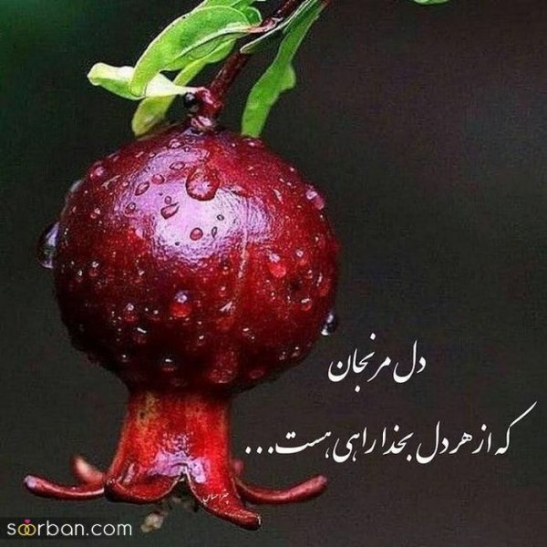  98 عکس شب یلدا عاشقانه جدید