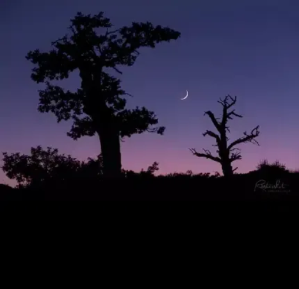  جدیدترین عکس شب یلدا