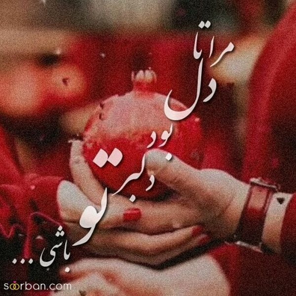  عکس پروفایل برای شب یلدا جدید