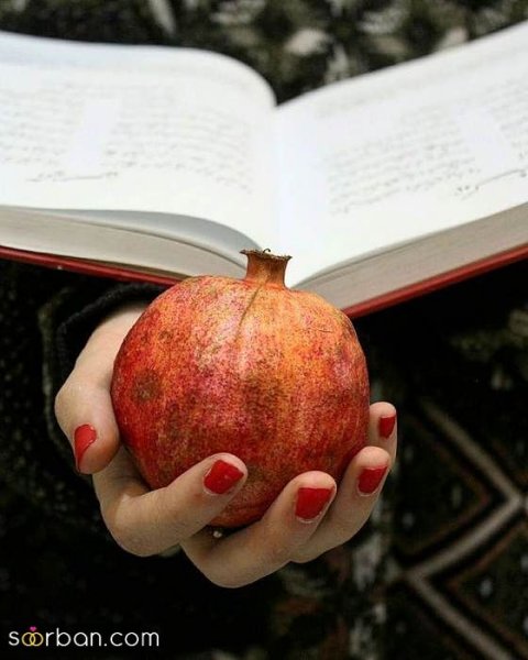  عکس پروفایل برای شب یلدا جدید