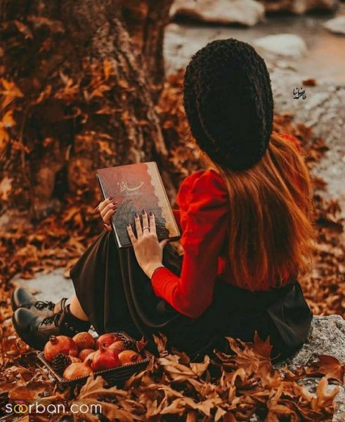  عکس پروفایل برای شب یلدا جدید