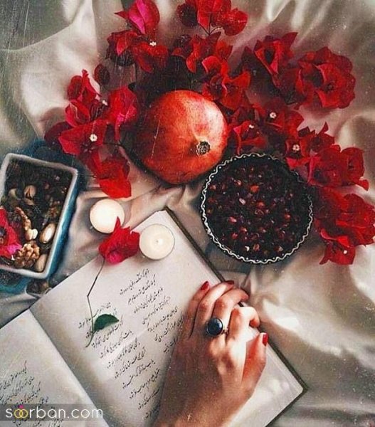  عکس پروفایل برای شب یلدا جدید