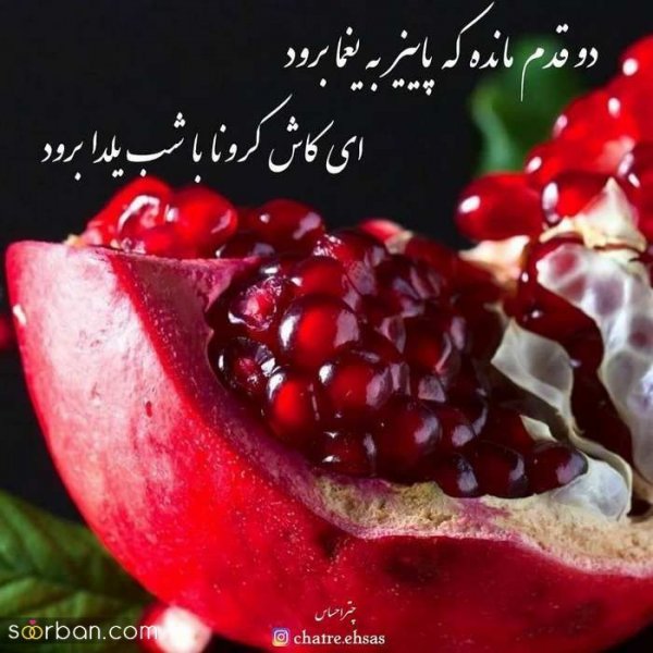  عکس شب یلدا بدون چهره