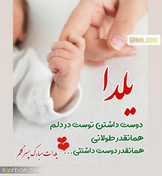  عکس شب یلدا بدون چهره