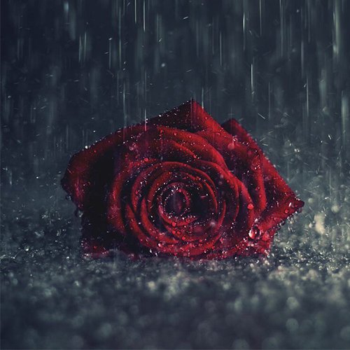  عکس چهره پروفایل