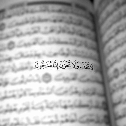  عکس چهره پروفایل