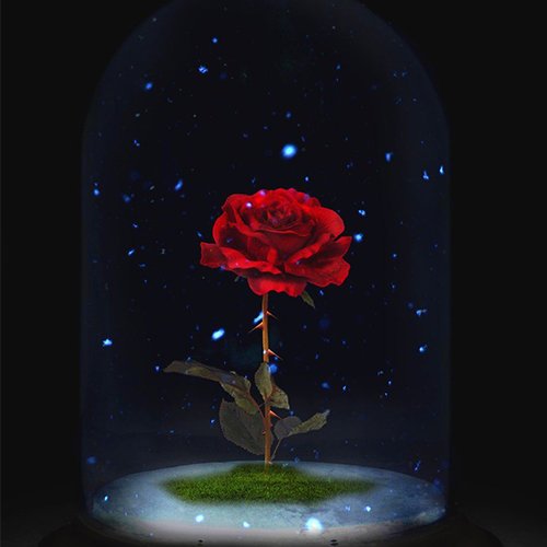  عکس چهره پروفایل