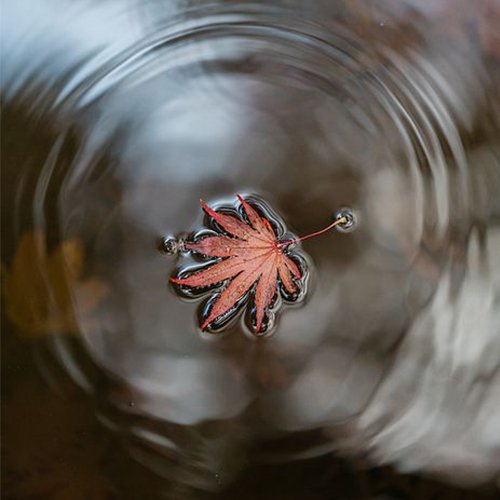  عکس چهره پروفایل