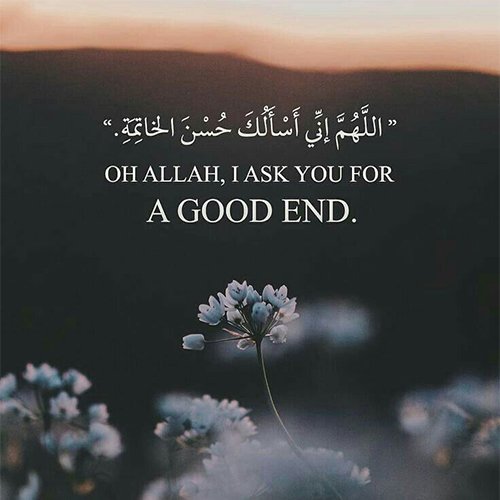  عکس چهره پروفایل