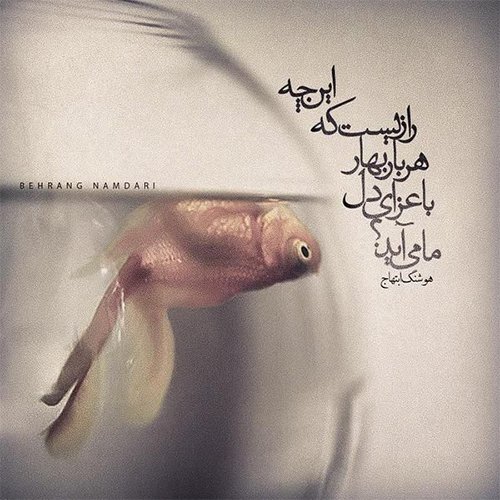  عکس چهره پروفایل