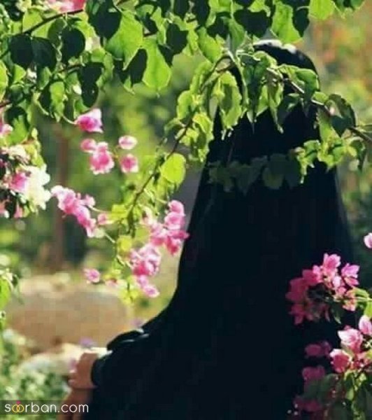  عکس بدون چهره دختر چادری