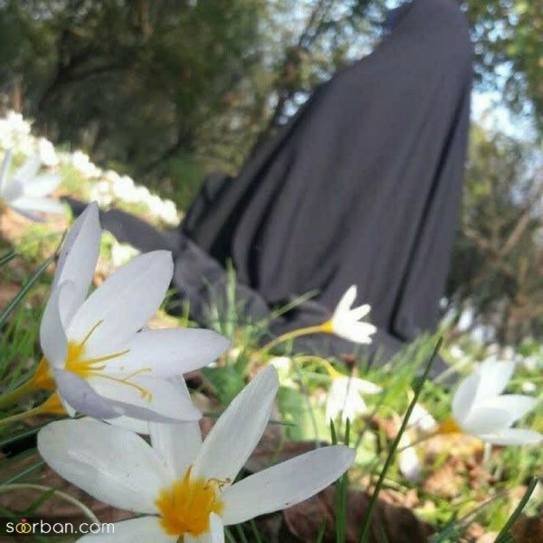  عکس بدون چهره دختر چادری