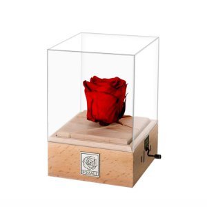  عکس ولنتاین کادو