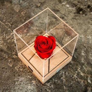  عکس ولنتاین کادو