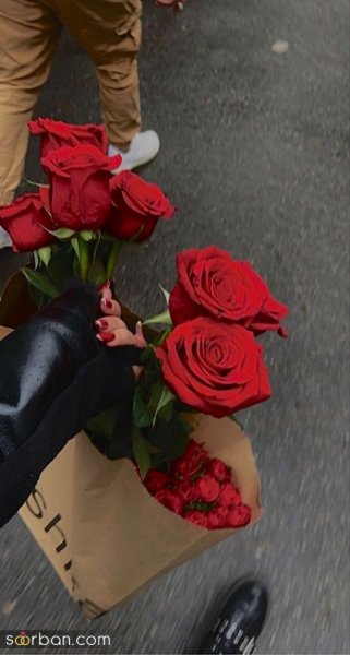  عکس ولنتاین واقعی