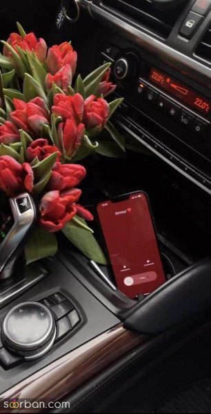  عکس ولنتاین واقعی