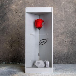 باکس ولنتاین دخترانه لاکچری