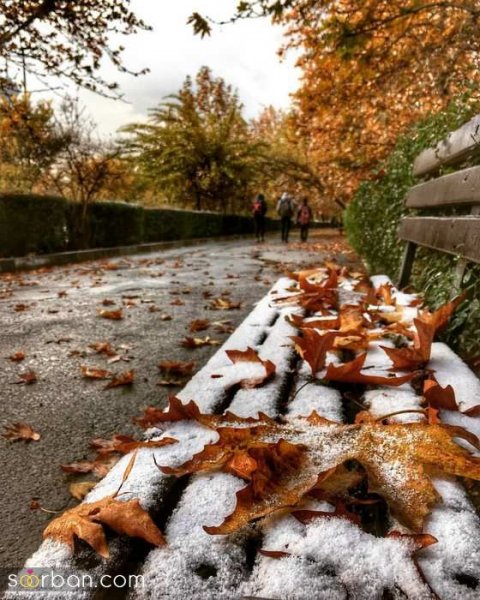  ایده عکس ولنتاین در برف